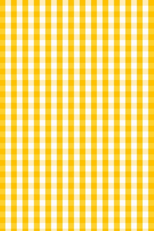 Bright Vibrant Yellow White Checkered Rug 3x5 for Porch Patio Deck Garden Poolside Washable Non Slip Durable Large Rugs Veranda Backyard Foyer Balcony Mats Retro Minimalist Classic Outdoor Carpet